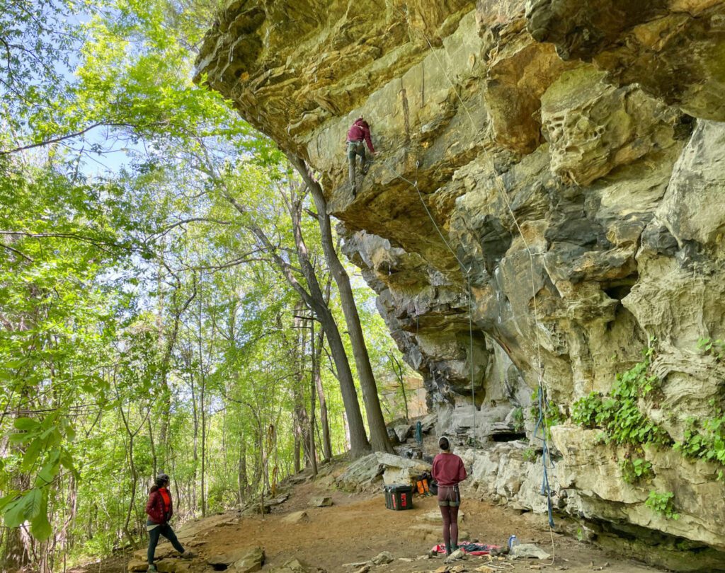 Can business leaders in Arkansas change climbing image x