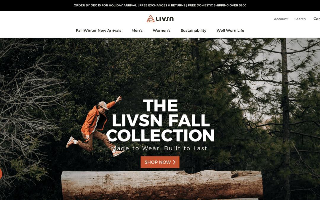 Apparel Company LIVSN Designs Secures Seed Capital From RZC Investments
